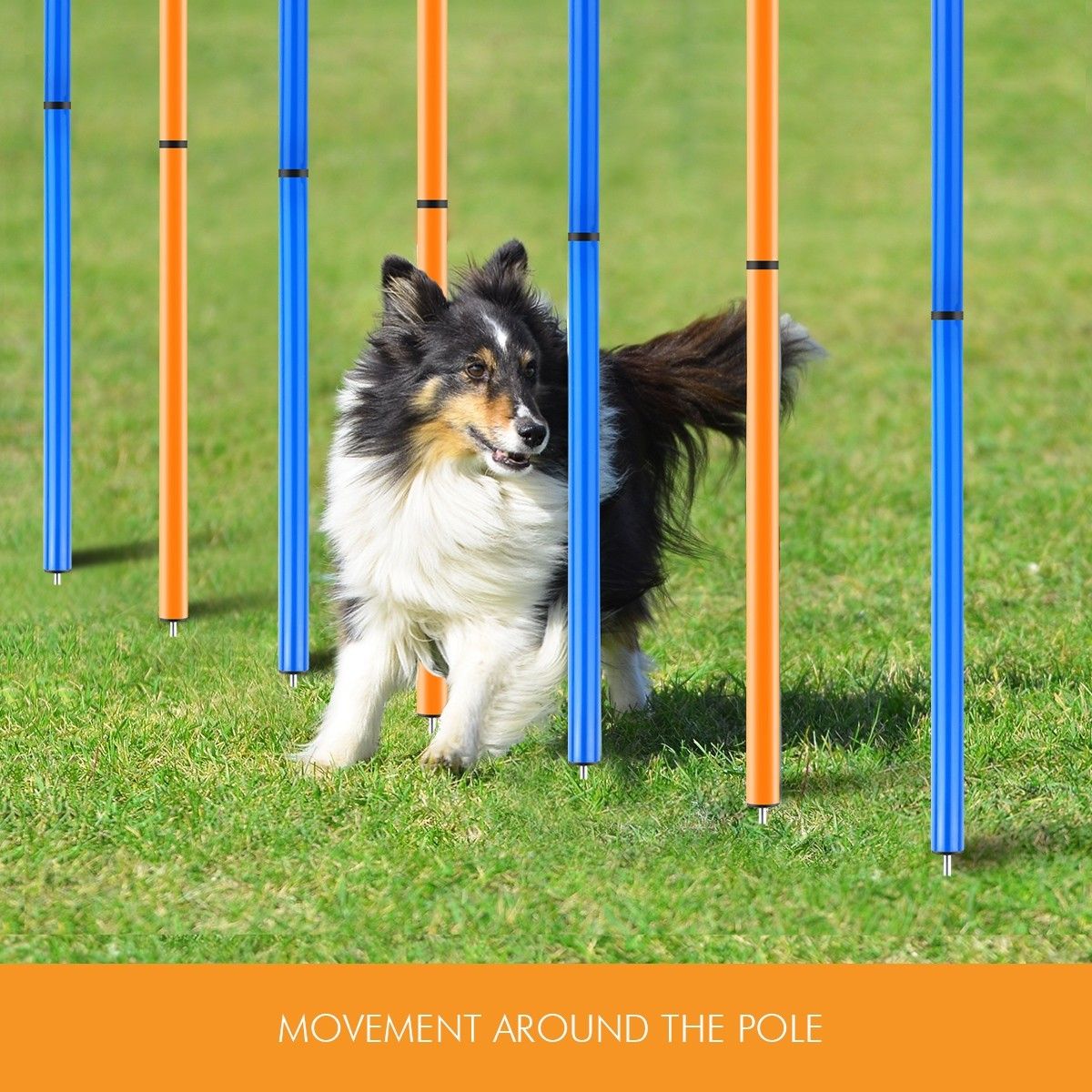 Outdoor Dog Training Weave Poles Portable Pet Games Agility Exercise