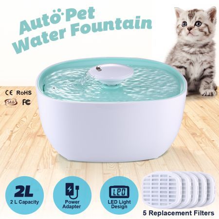 cat drinking fountain australia