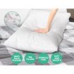 Giselle Bedding Duck Feather Down Pillow Luxury Twin Pack