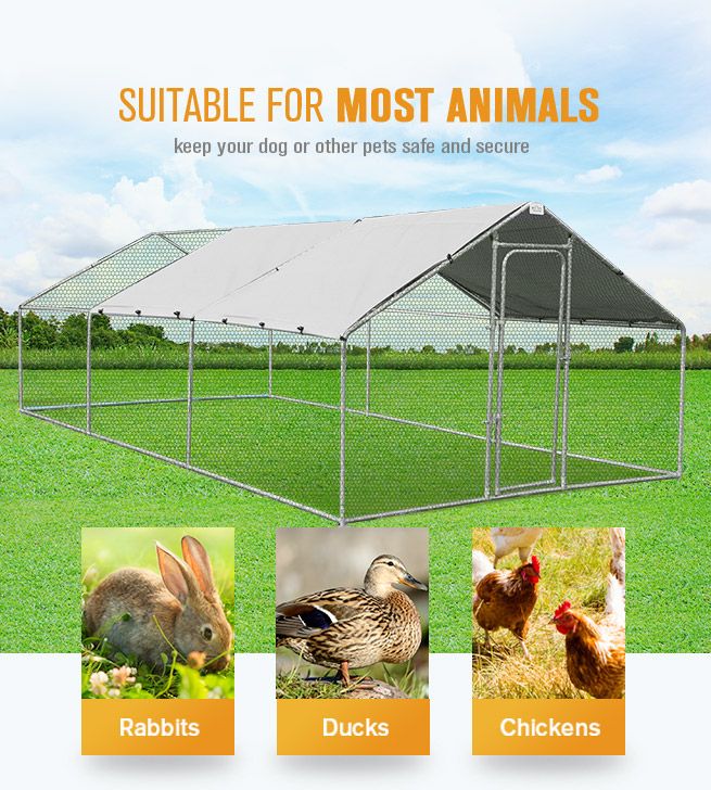 Walkin Steel Chicken Coop Run Enclosure Rabbit Hutch Outdoor Duck Hen