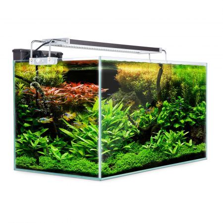 Aquarium Starfire Glass Fish Tank Set Filter Pump 70L