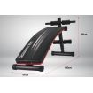 Powertrain Inclined Sit Up Bench Weight Adjustable