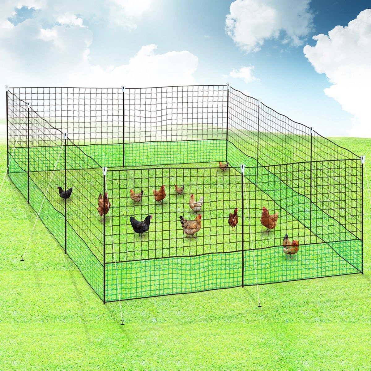 chicken run fence design