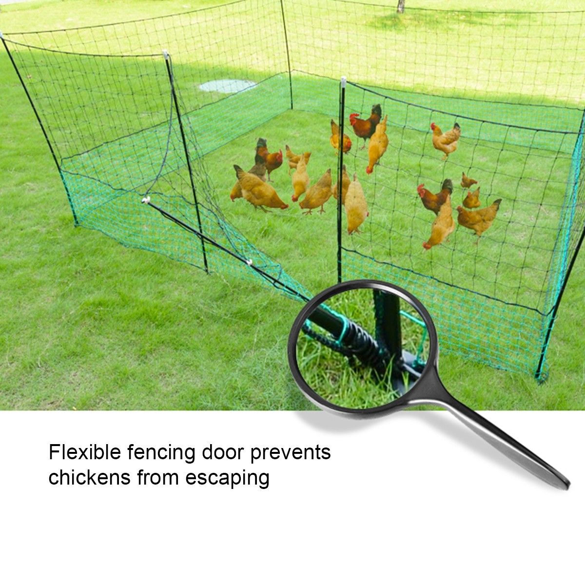 New 21m x 125cm Poultry Net Chicken Fence Netting Chooks Ducks Hens W ...