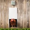 Automatic Chicken Door Coop House Auto Opener Cage Closer Timer Light Sensor