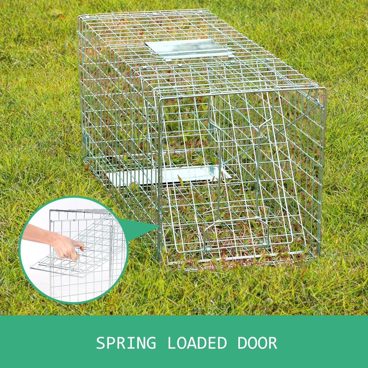 Extra Large Humane Live Animal Trap Cage Possum Cat Dog Rabbit Fox ...