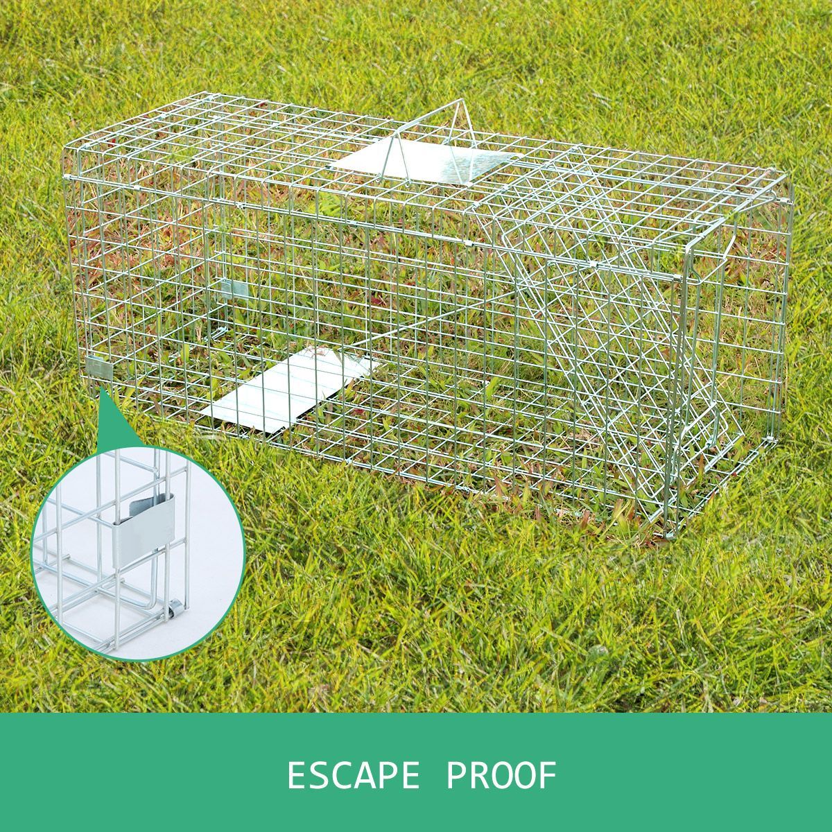 Extra Large Humane Live Animal Trap Cage Possum Cat Dog Rabbit Fox ...