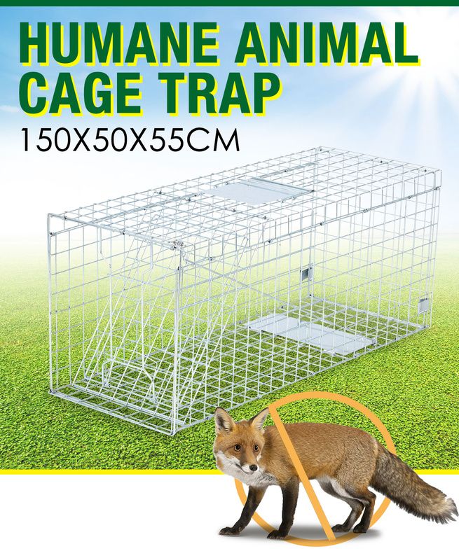 Extra Large Humane Live Animal Trap Cage Possum Cat Dog Rabbit Fox ...