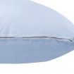 Cuddly Baby Maternity Body Support Pillow - Blue