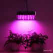 Greenfingers 600W Grow Light LED Full Spectrum Indoor Plant All Stage Growth