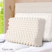 Giselle Bedding Natural Latex Pillow Twin Pack