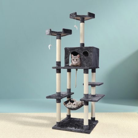 https://img.crazysales.com.au/products_pictures/1691/169119_2869501_F.jpg