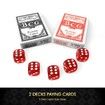 300 Matte Frosted Chips Professional Poker Card Game Play Set Casino Dice Aluminium Case
