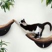 Wood Cat Wall-Mounted Shelf Curve Design for Climbing Jumping Perching Cat Furniture