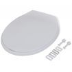 Soft-close Toilet Seat White Oval