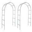 Garden Arch 2 pcs Climbing Plants