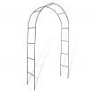 Garden Arch 2 pcs Climbing Plants