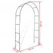 Garden Arch 2 pcs Climbing Plants