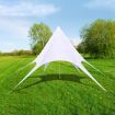 Gazebo Hexagon Star Garden Pavilion 14m