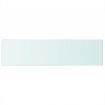 Shelf Panel Glass Clear 100x25 cm