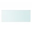 Shelf Panel Glass Clear 50x20 cm