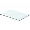 Shelf Panel Glass Clear 40x20 cm