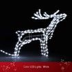 New 3D Reindeer Sleigh Motif Christmas Lights 22M LED Rope Xmas Decoration Outdoor Home Display