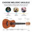 Melodic Soprano Ukulele 21" Mahogany Ukeleles Uke Hawaii Guitar w/Bag Tuner Pick Capo