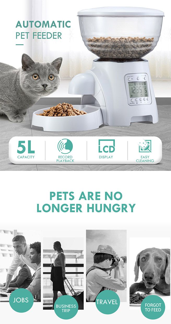 Automatic Cat Feeder Pet Dog Food Dispenser Auto Timed Puppy Feeding