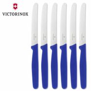Victorinox Steak Knives - Round Tip Blue Handle - 6pc Knife Set