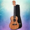 Alpha 23 inch Concert Ukulele Mahogany Ukuleles Uke Hawaii Guitar w/ Carry Bag