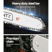 Giantz 40CC Pole Chainsaw 12in Chain Saw 4-Stroke Petrol 4.3m Long Reach