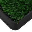 Pet Toilet with Tray and Artificial Turf Green 64x51x3 cm WC