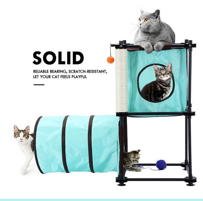 cat outdoor toys