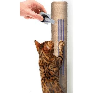 Cat scratch clearance attractant