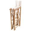 Folding Director's Chair 2 pcs Bamboo and Canvas