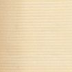 Privacy Net HDPE 1.5x10 m Beige