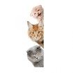 3D Wall Stickers Cats PVC Self Adhesive Removable DIY Decoration