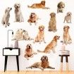 3D Wall Stickers Dogs PVC Self Adhesive Removable DIY Decoration Golden Retriever