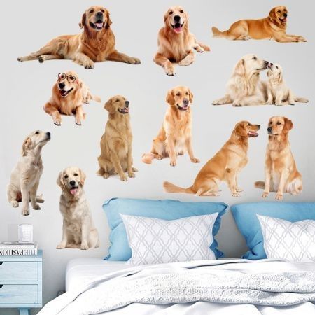 https://img.crazysales.com.au/products_pictures/202/202159_1545573_F.jpg