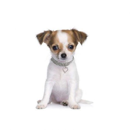 https://img.crazysales.com.au/products_pictures/202/202801_1550771_F.jpg