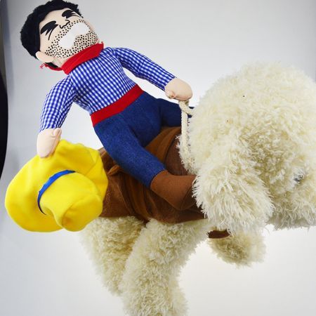 Pet Funny costume