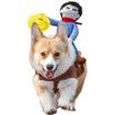 Pet Funny costume