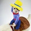Pet Funny costume