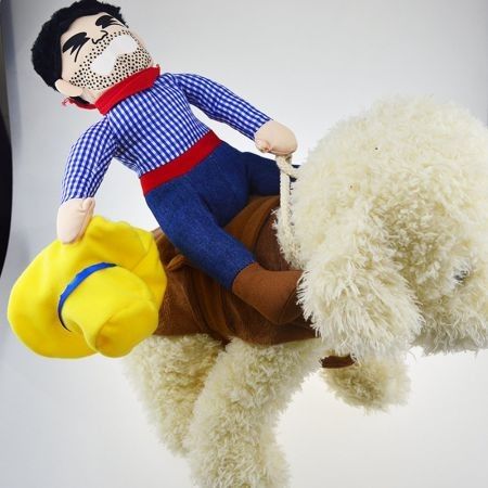 https://img.crazysales.com.au/products_pictures/203/203373_1553801_F.jpg