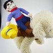 Pet Funny costume