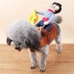 Pet Funny costume