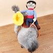 Pet Funny costume