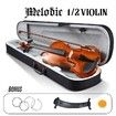 2/4 Acoustic Violin Kit 4 Strings Natural Varnish Finish w Case Bow Rosin Melodic