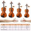 2/4 Acoustic Violin Kit 4 Strings Natural Varnish Finish w Case Bow Rosin Melodic